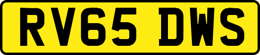 RV65DWS