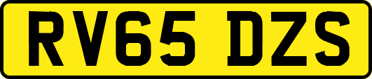 RV65DZS