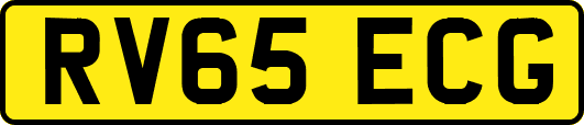 RV65ECG