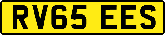 RV65EES