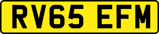 RV65EFM