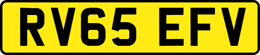RV65EFV
