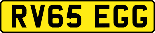 RV65EGG