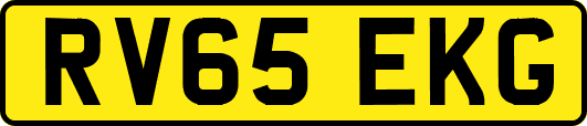 RV65EKG