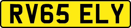 RV65ELY