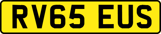 RV65EUS