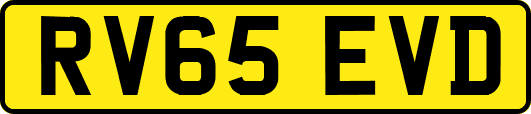 RV65EVD