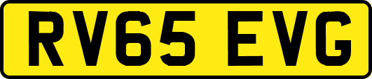 RV65EVG