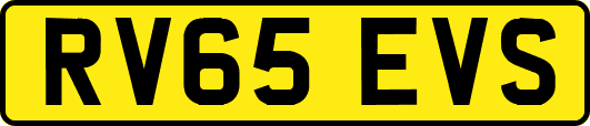 RV65EVS