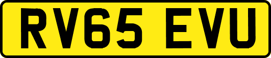 RV65EVU