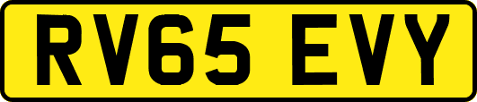 RV65EVY