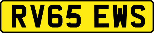 RV65EWS