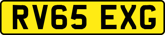 RV65EXG