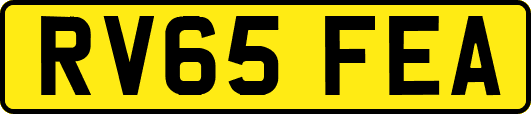RV65FEA