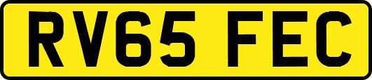 RV65FEC