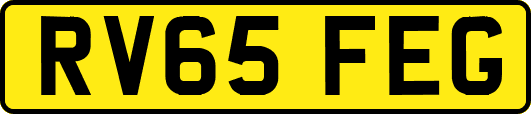 RV65FEG