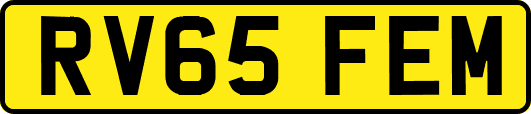 RV65FEM