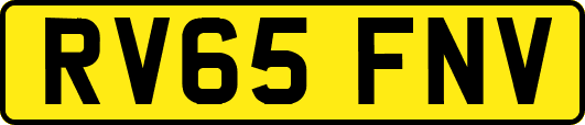 RV65FNV