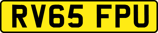 RV65FPU