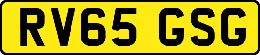 RV65GSG