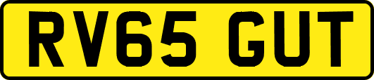 RV65GUT