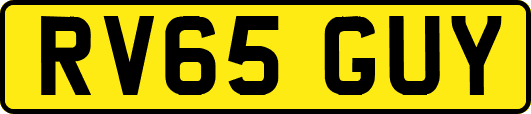 RV65GUY