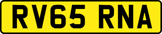 RV65RNA