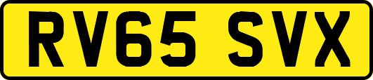 RV65SVX