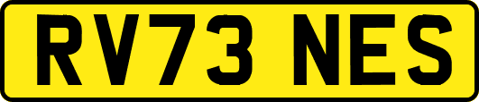 RV73NES