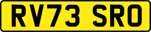 RV73SRO