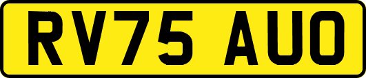 RV75AUO
