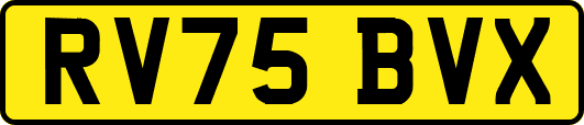 RV75BVX