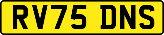 RV75DNS