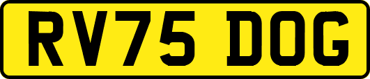 RV75DOG