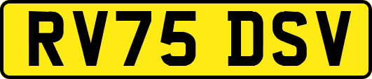 RV75DSV