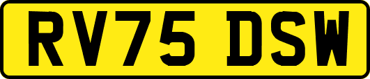 RV75DSW