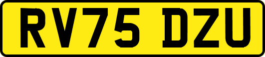 RV75DZU