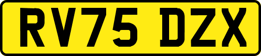RV75DZX