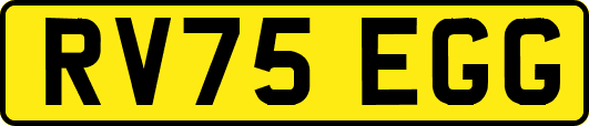 RV75EGG