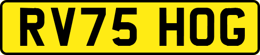 RV75HOG