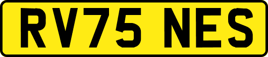 RV75NES