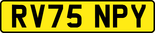 RV75NPY