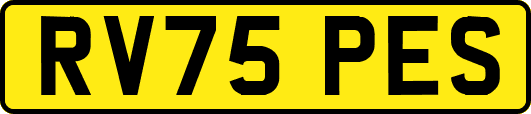 RV75PES
