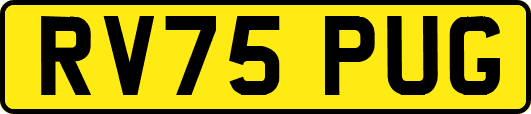 RV75PUG