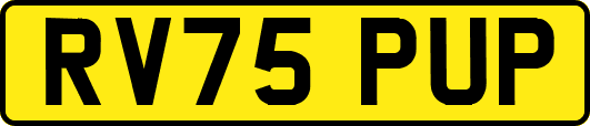 RV75PUP