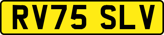 RV75SLV