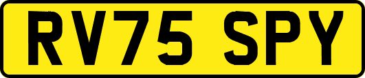 RV75SPY
