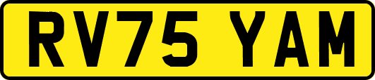 RV75YAM