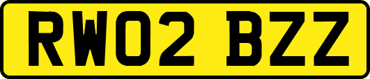 RW02BZZ