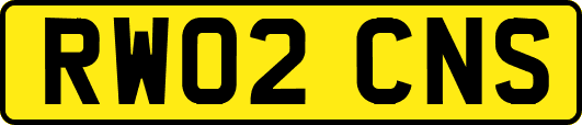 RW02CNS